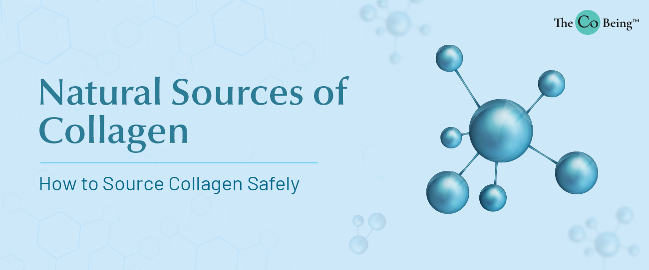 Natural Sources of Collagen Know your Nutrients TheCoBeing The Co