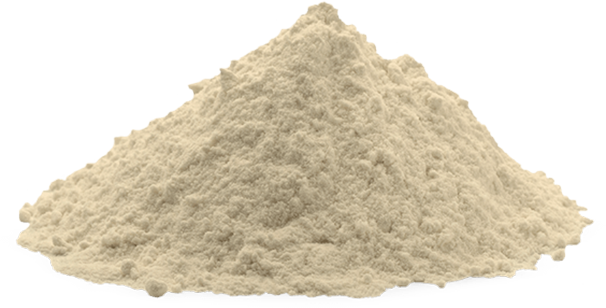 Alpha Lipoic Acid