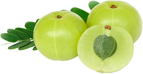 Amla