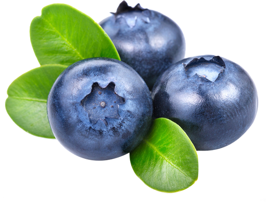 Blueberry