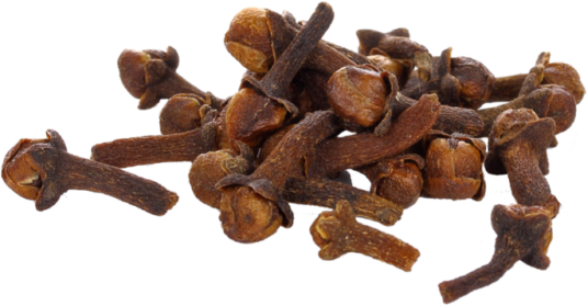 Clove