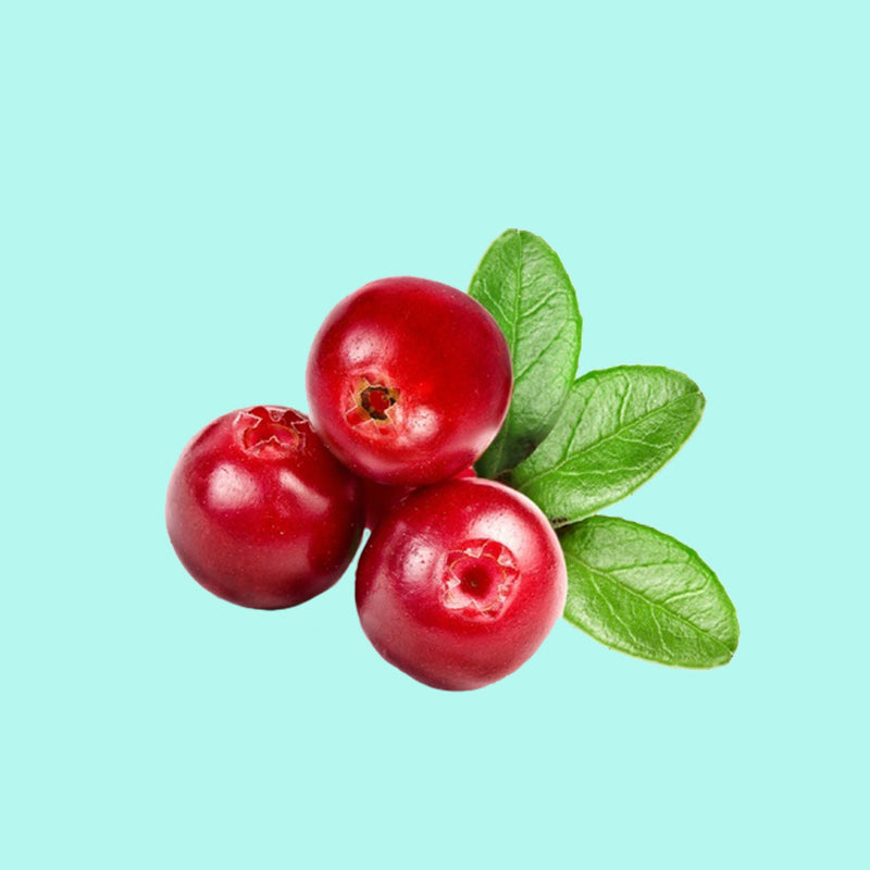 Cranberry