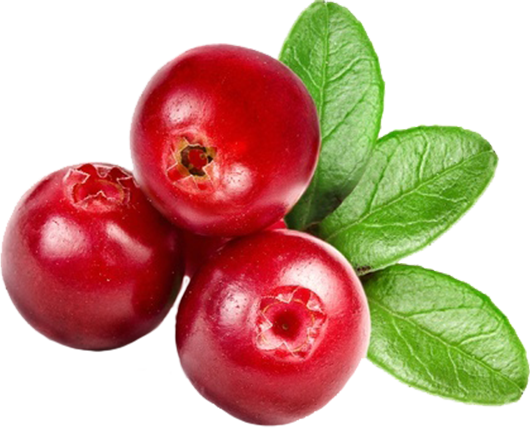 Cranberry