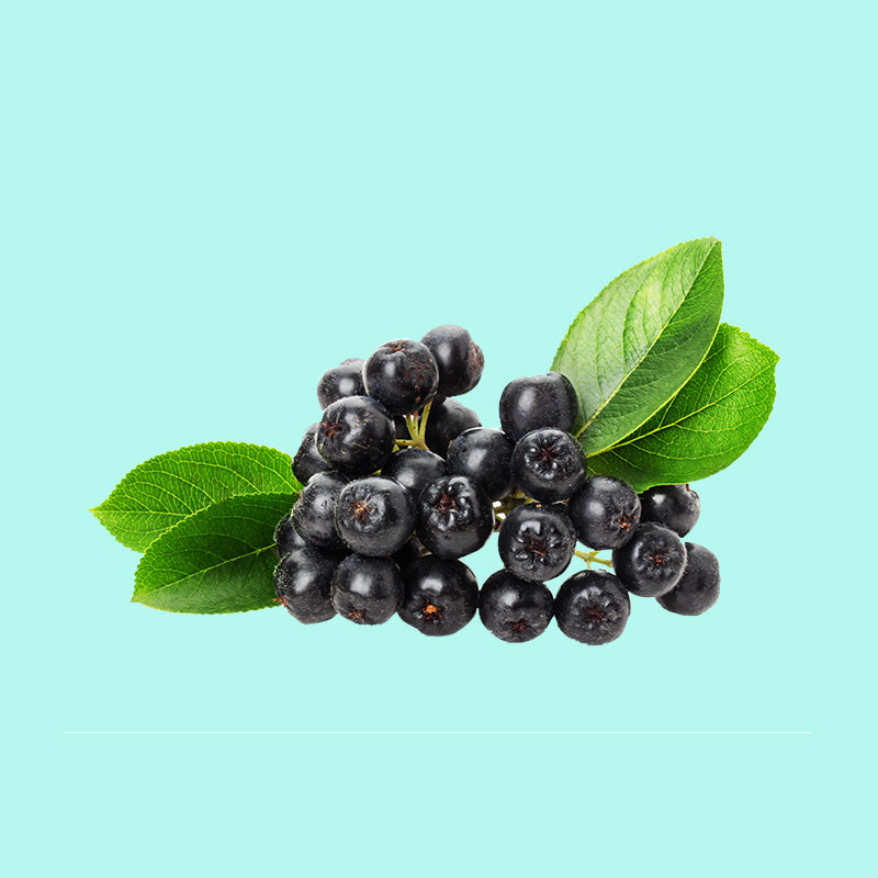 Elderberry