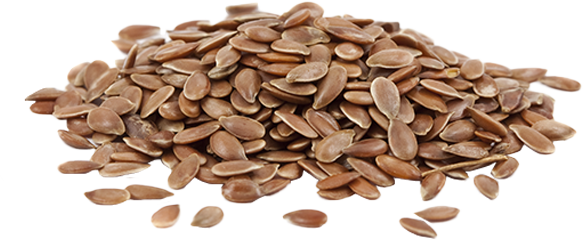 Flax Seed