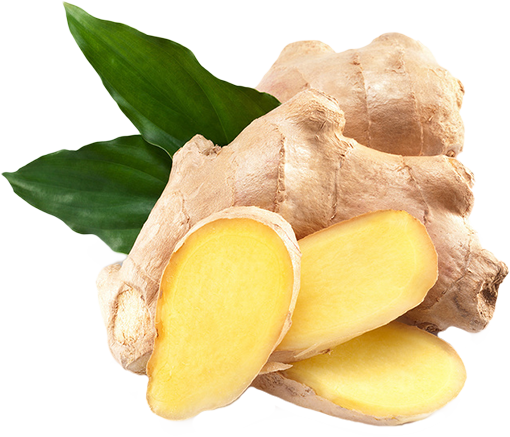 Ginger