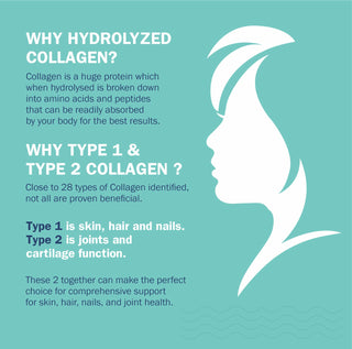 Marine Collagen Peptides (7 Sachets)