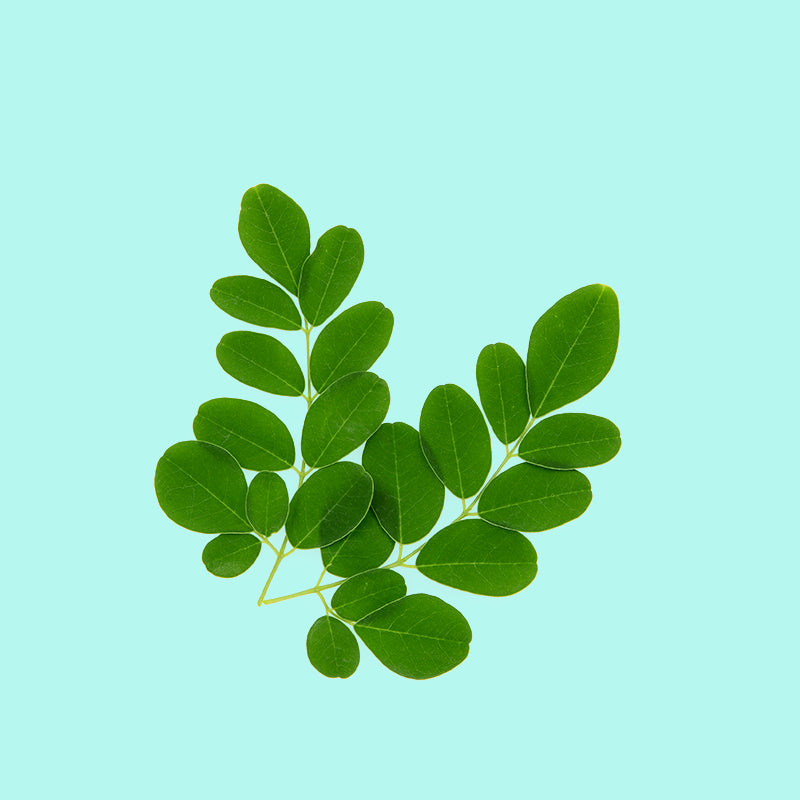 Moringa