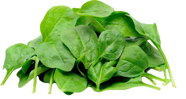 Spinach