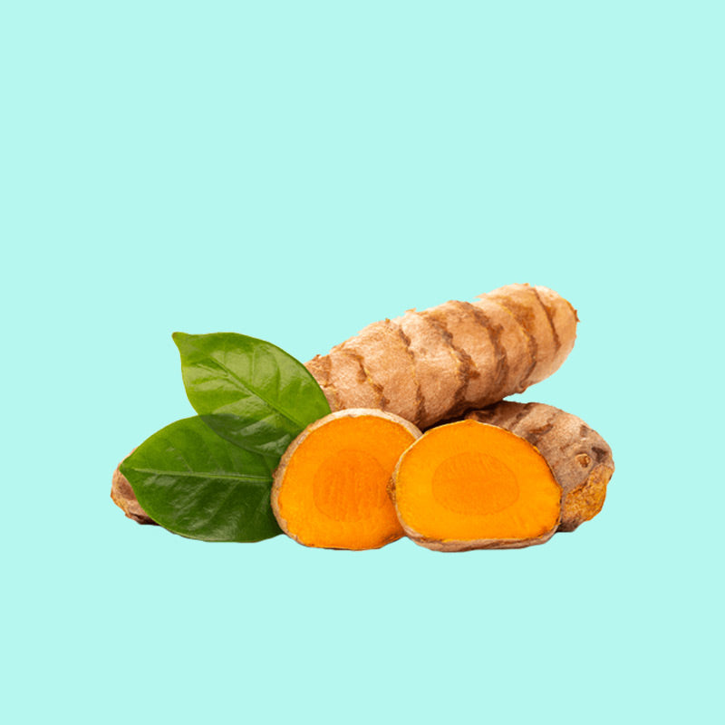 Turmeric / Curcumin