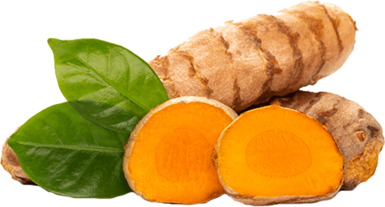 Turmeric / Curcumin