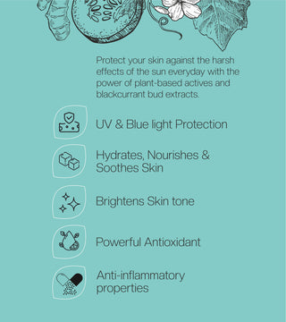 On The Go - Face & Body Sunscreen Spray