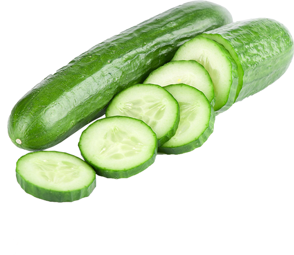 Cucumber