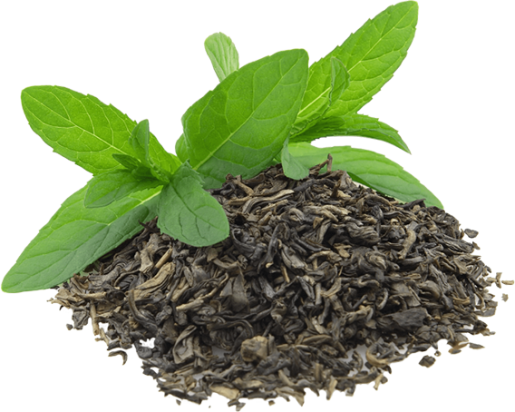 Green Tea