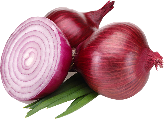 Onion
