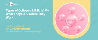 Types of Collagen: I, II, III, IV, V – What They Do & Where They Work