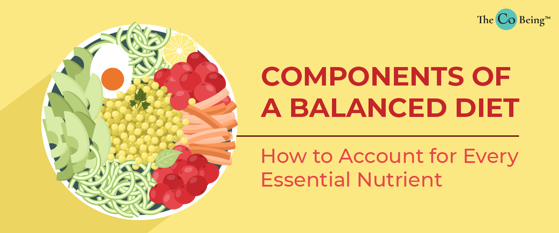 Components of a Balanced Diet- How to Account for Essential Nutrients
