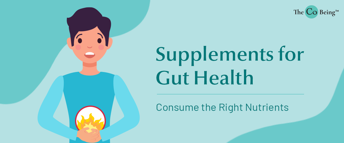 Supplements for Gut Health: Source the Right Nutrients