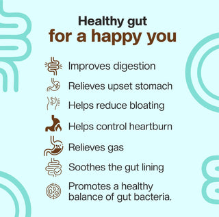 Got Gutzy | Improves Gut Health