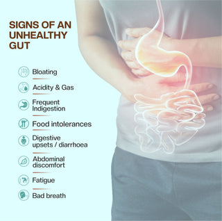 Got Gutzy | Improves Gut Health